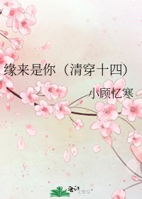 缘来是你(清穿十四)